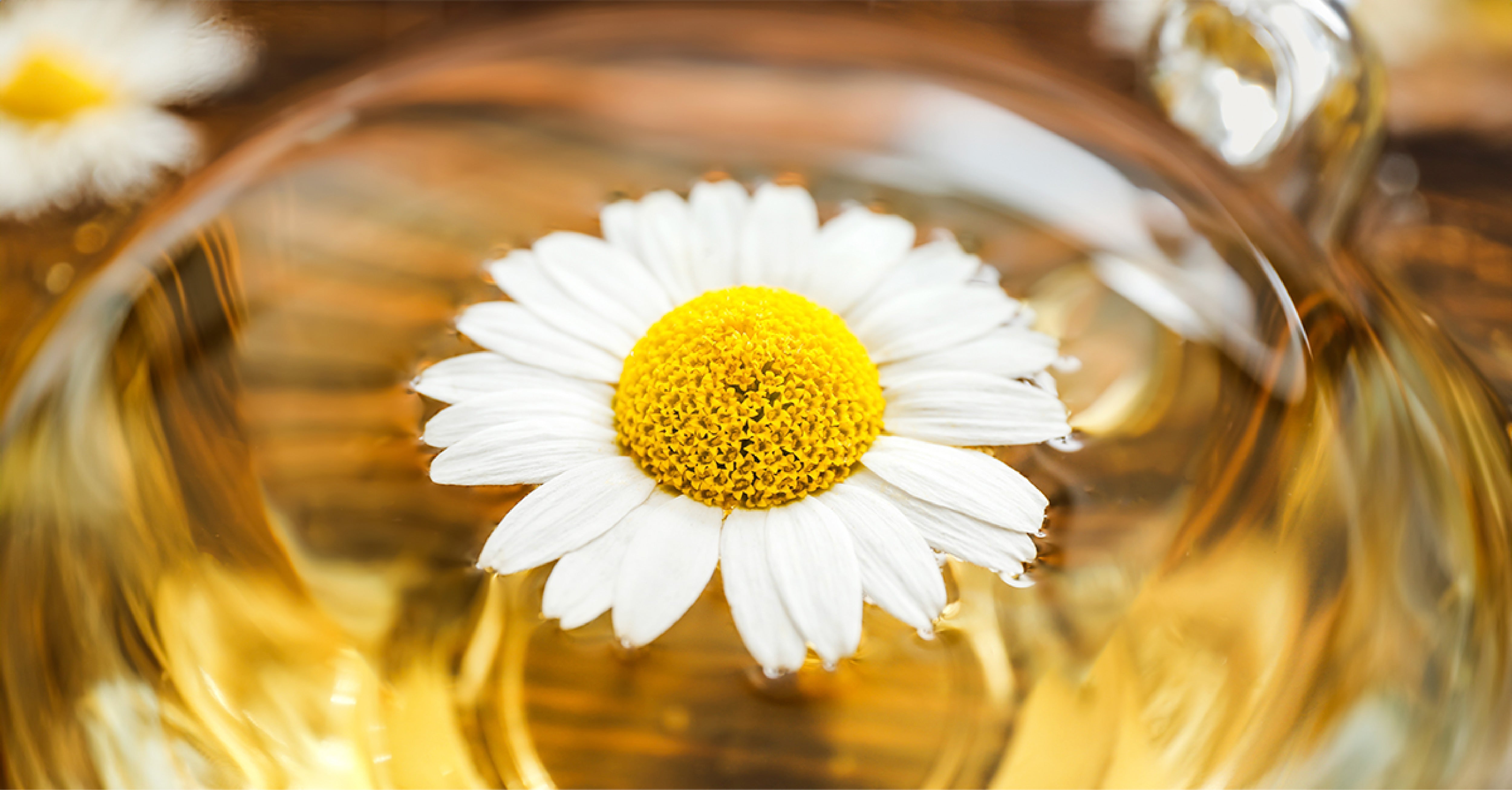 BISABOLOL: THE HIDDEN GEM IN YOUR MAKEUP